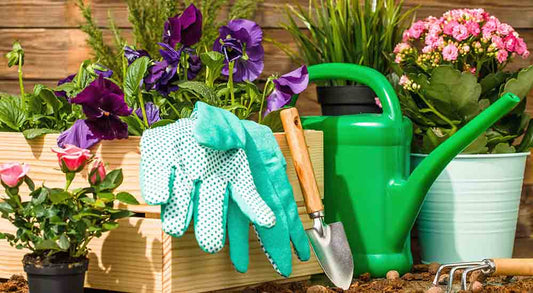 Best gardening tools for home gardeners including gloves, trowel, watering can, and potted flowers in backyard