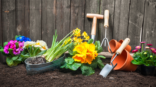 How to Start Your First Garden