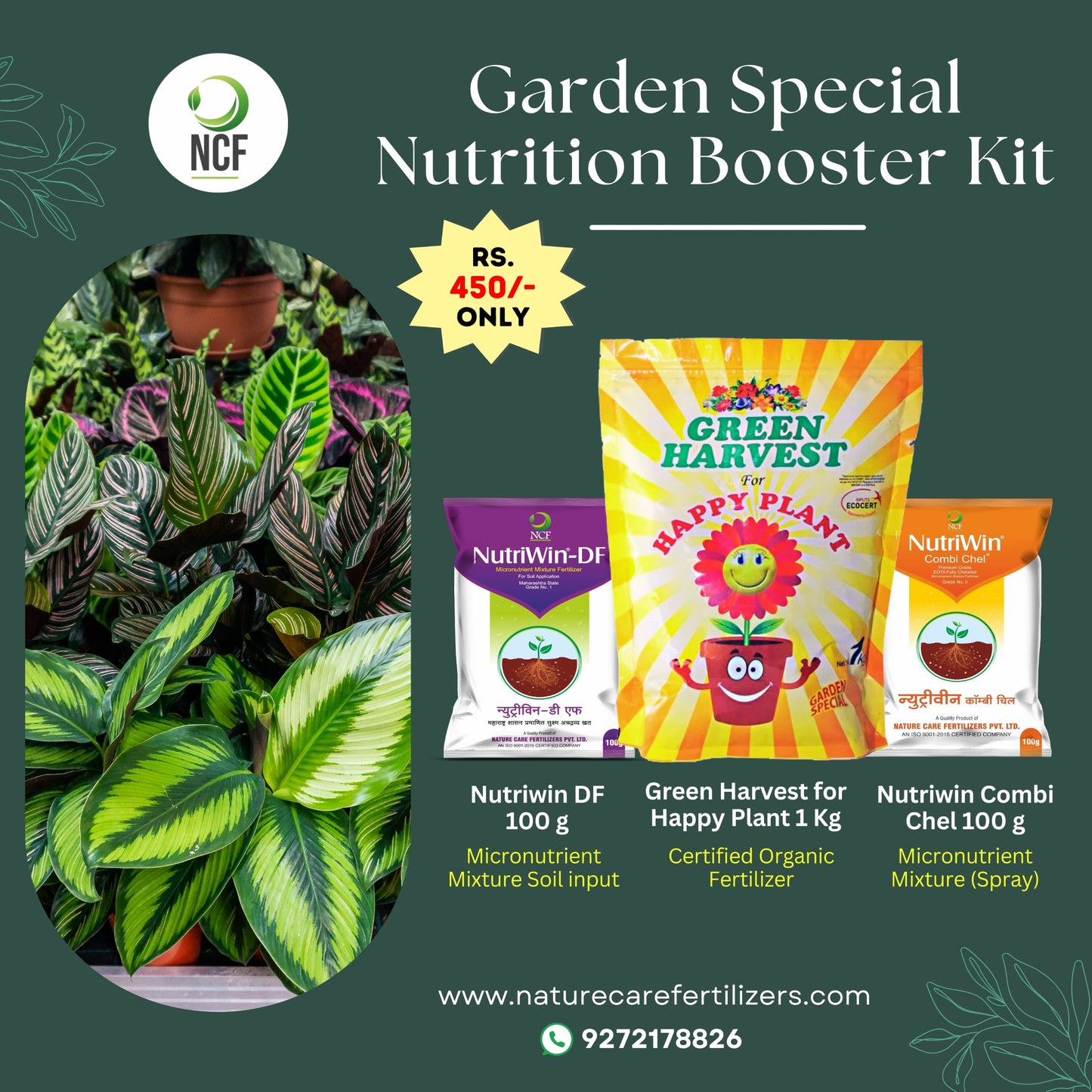 Nature Care Fertilizers plant booster fertilizer pack with Nutriwin DF, Green Harvest, and Nutriwin Combi for garden nutrition