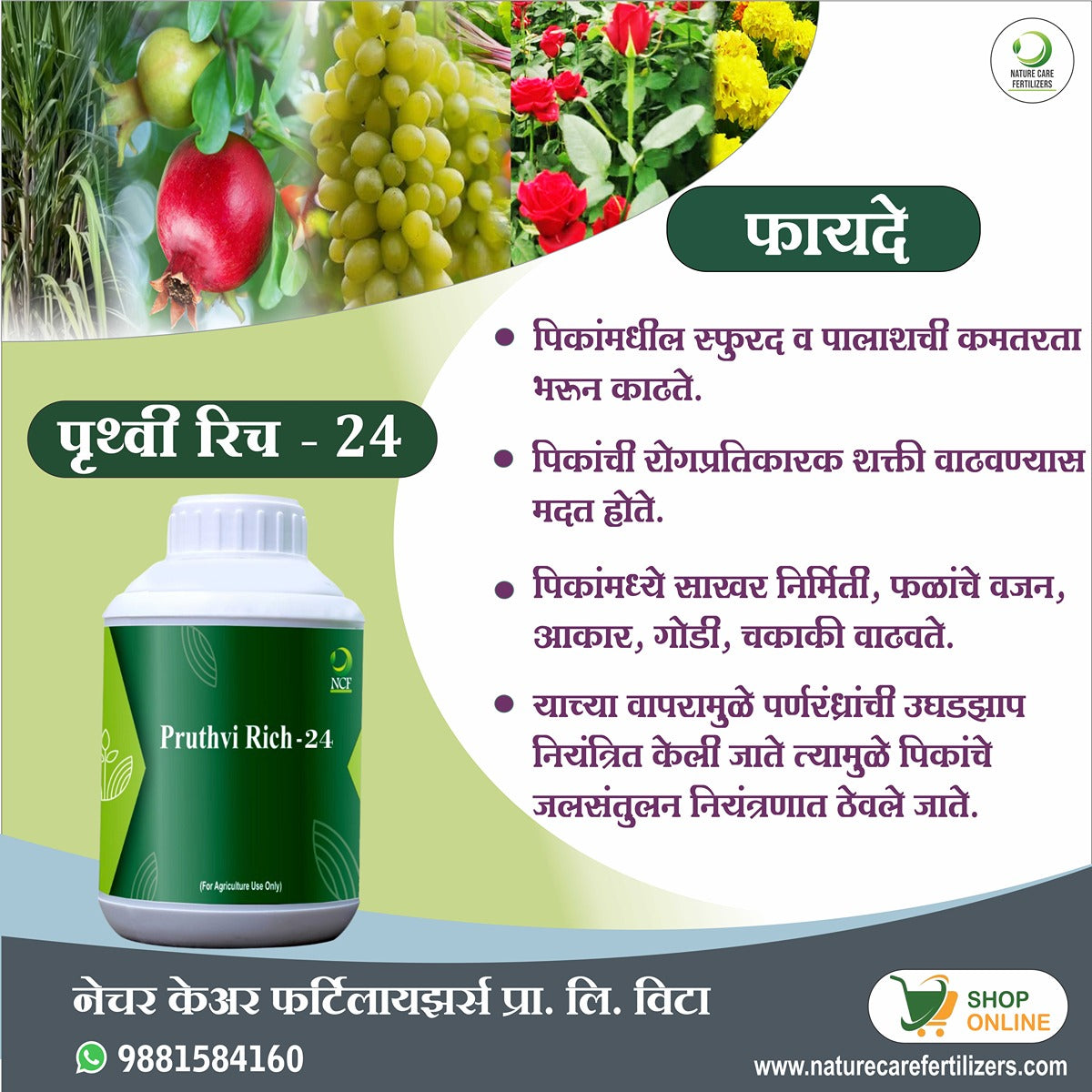 पृथ्वीरिच -२४ ( पोटॅशियम पॉलीफॉस्फेट )