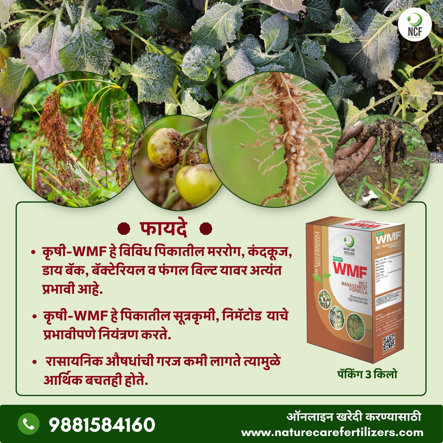 Krishi WMF - मररोग व कंदकुज यांच्या नियंत्रणासाठी एक फायदेशीर जैविक उत्पादन