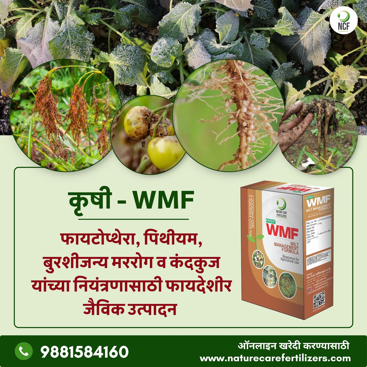 Krishi WMF - मररोग व कंदकुज यांच्या नियंत्रणासाठी एक फायदेशीर जैविक उत्पादन