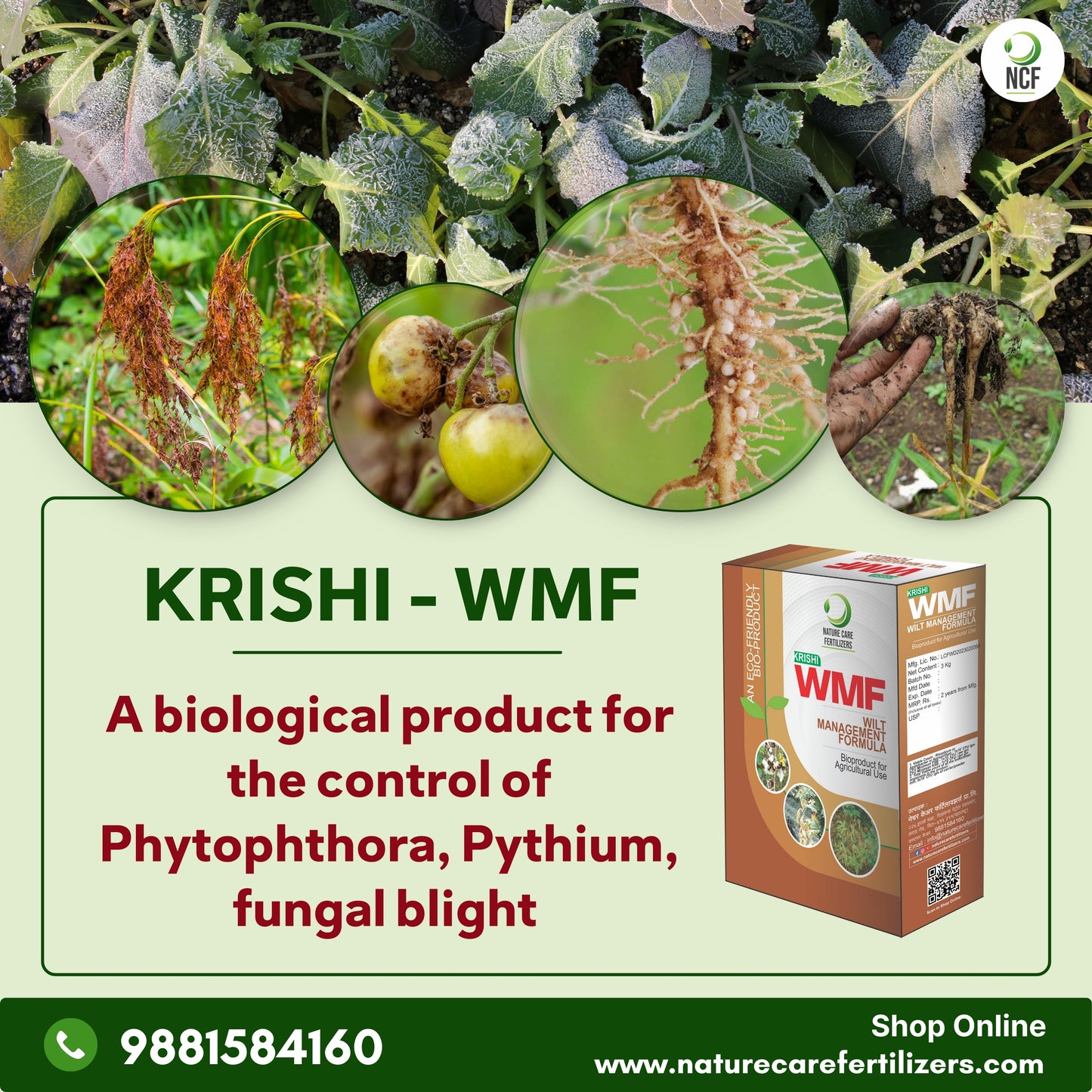 Krishi WMF - मररोग व कंदकुज यांच्या नियंत्रणासाठी एक फायदेशीर जैविक उत्पादन