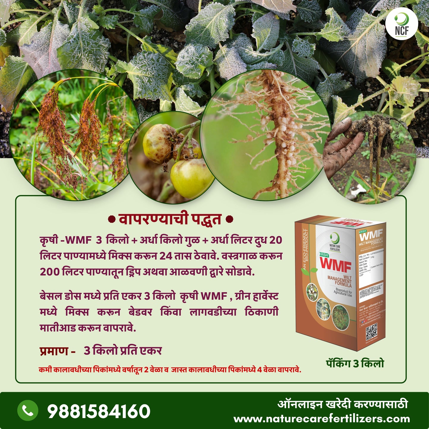 Krishi WMF - मररोग व कंदकुज यांच्या नियंत्रणासाठी एक फायदेशीर जैविक उत्पादन