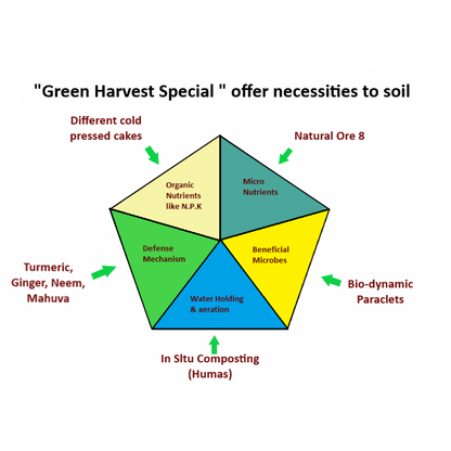 Green Harvest Special