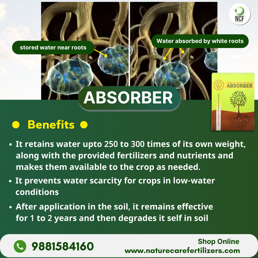 Nature Care Fertilizers organic soil absorber showing water retention and absorption by white roots