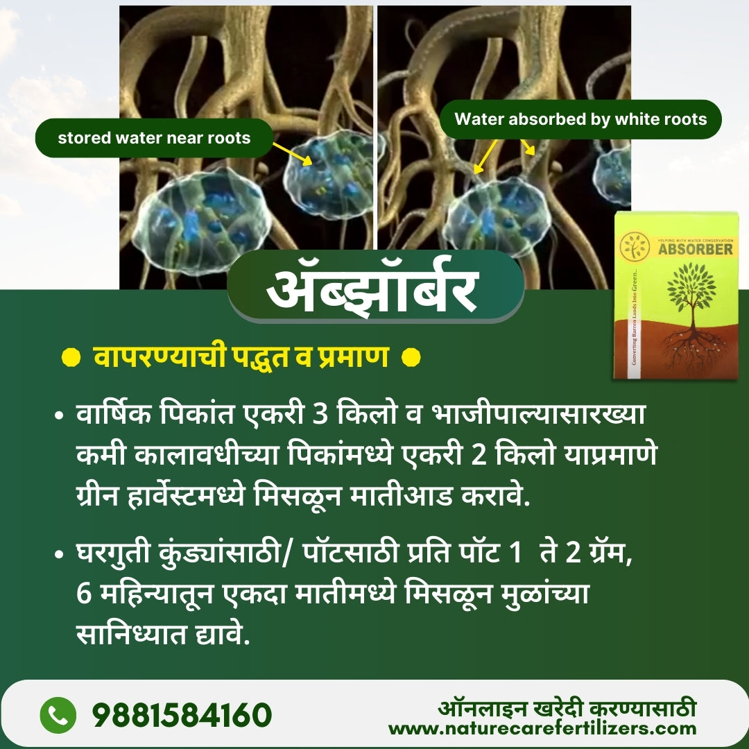 Illustration showing organic soil absorber stored water near roots and water absorbed by white roots with Nature Care Fertilizers packaging