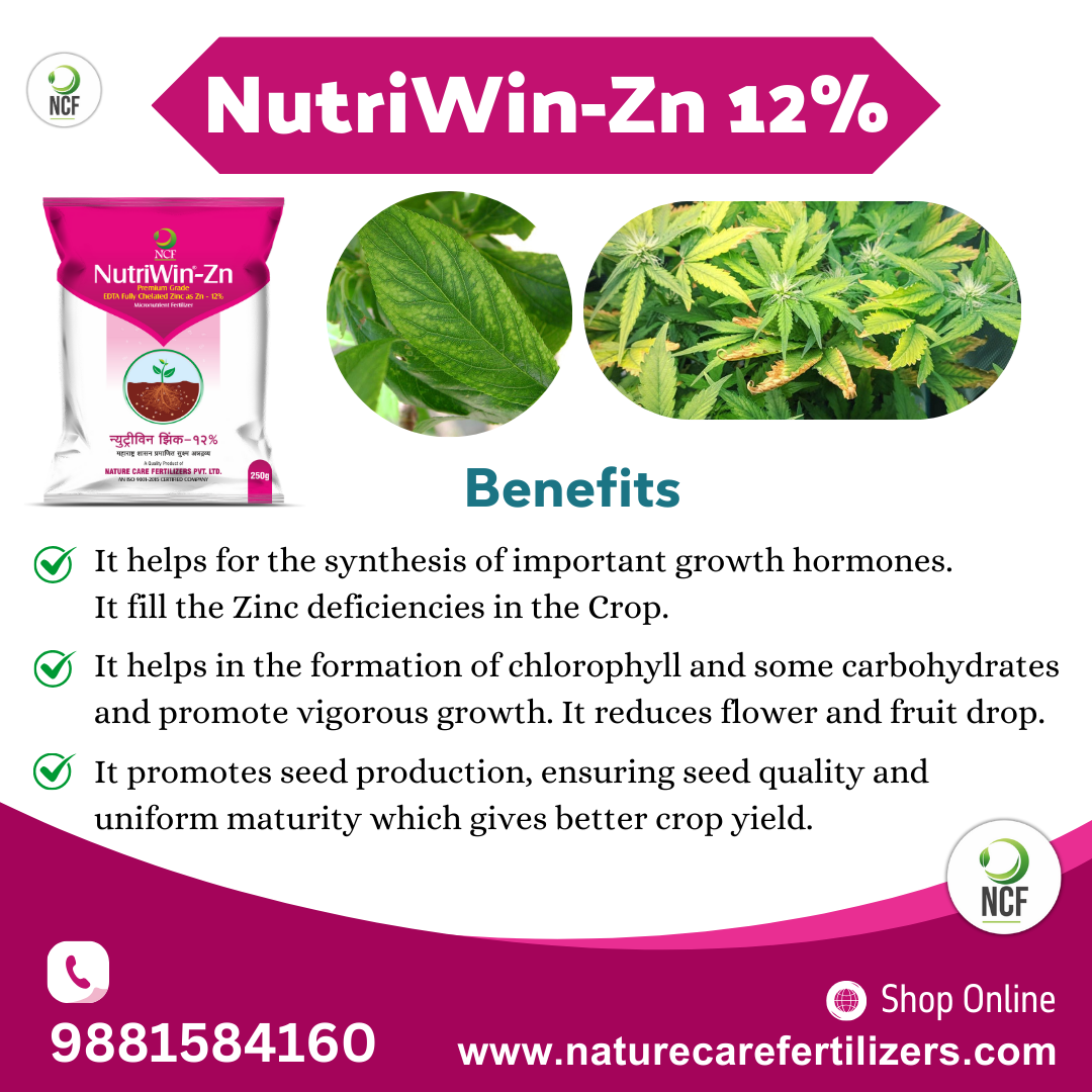 Nutriwin Zn Premium for crops fertilizer bag with green healthy crop leaves showcasing benefits for crop growth