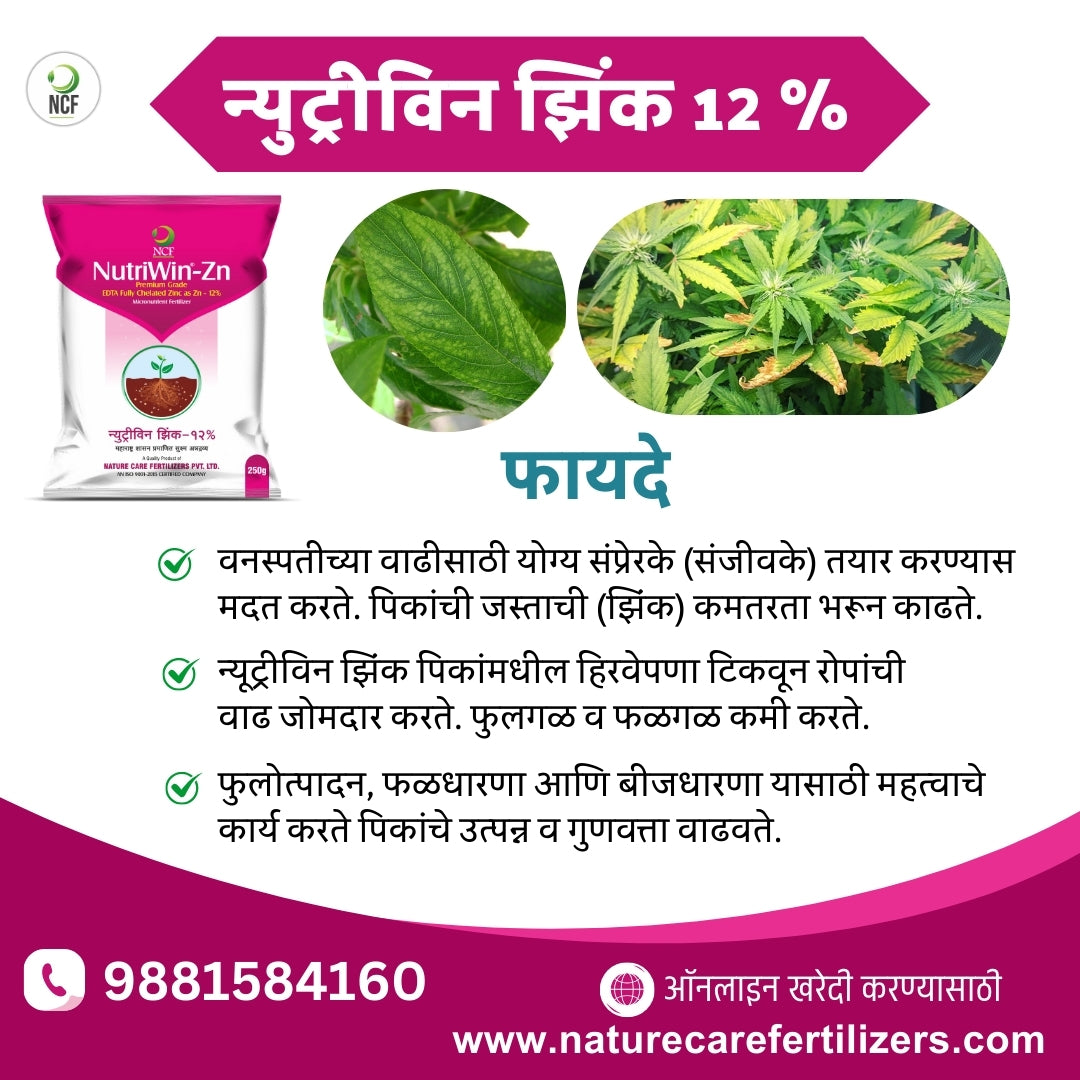 Nutriwin Zn Premium for crops by Nature Care Fertilizers bag with healthy green crop leaves and benefits in regional language
