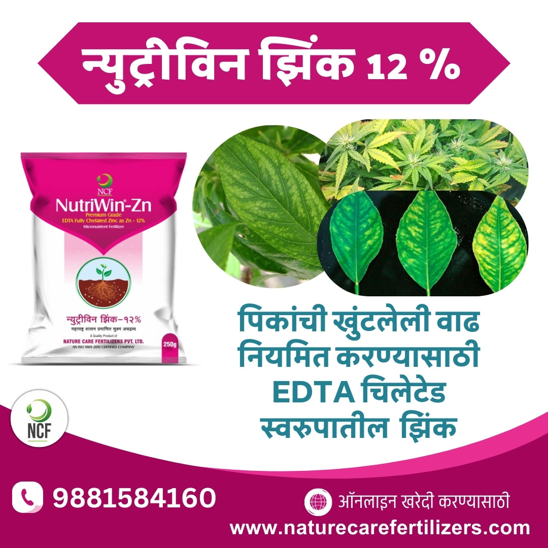 Nutriwin Zn Premium for crops fertilizer packet with images showing healthy green leaves and zinc deficiency correction by Nature Care Fertilizers