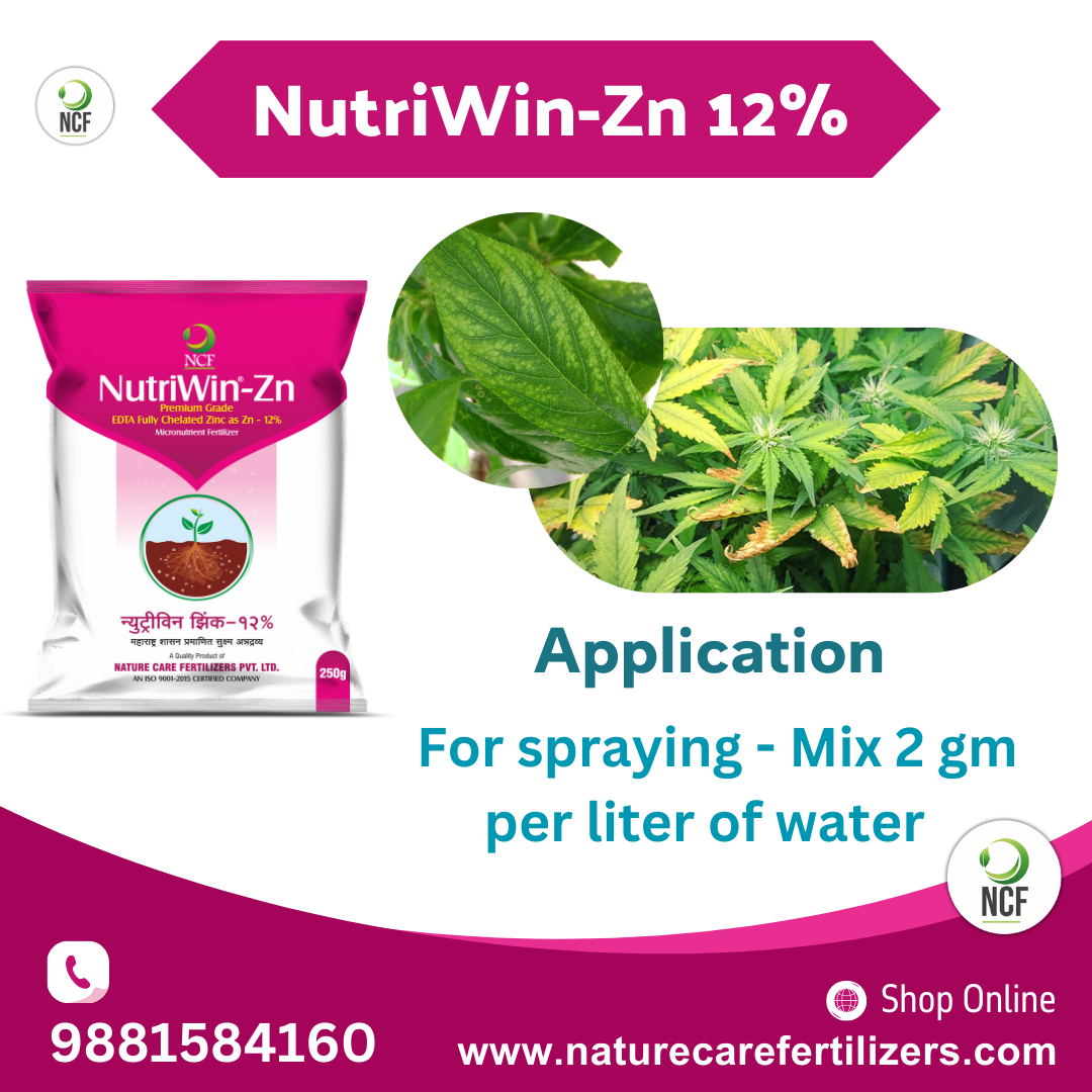 Nutriwin Zn Premium for crops fertilizer packet with zinc content and instructions for spraying application