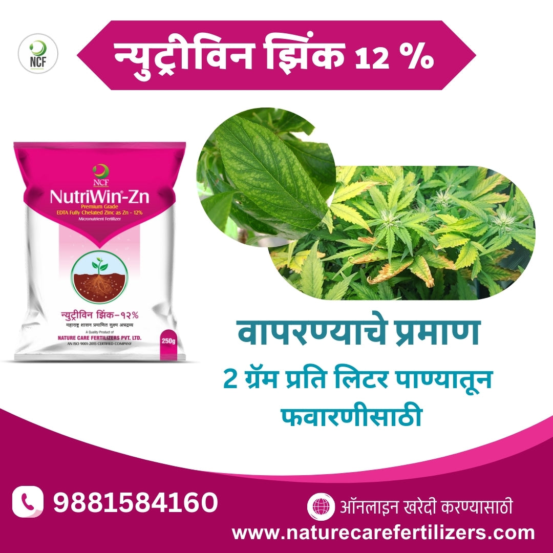 Nature Care Fertilizers Nutriwin Zn Premium for crops pack with healthy green crop leaves showing zinc deficiency treatment