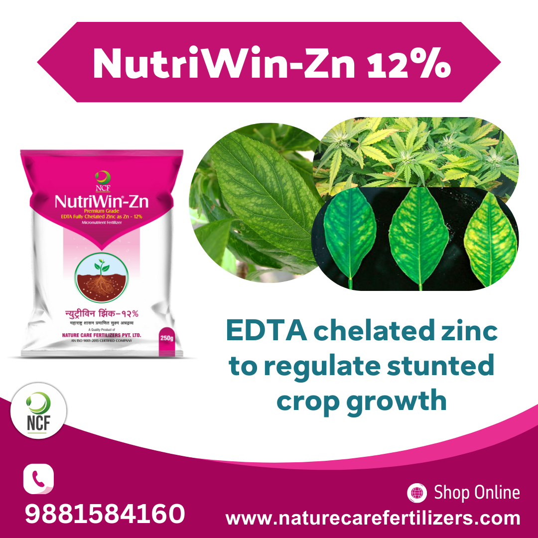 Nutriwin Zn Premium for crops fertilizer bag by Nature Care Fertilizers with images showing zinc deficiency in plant leaves