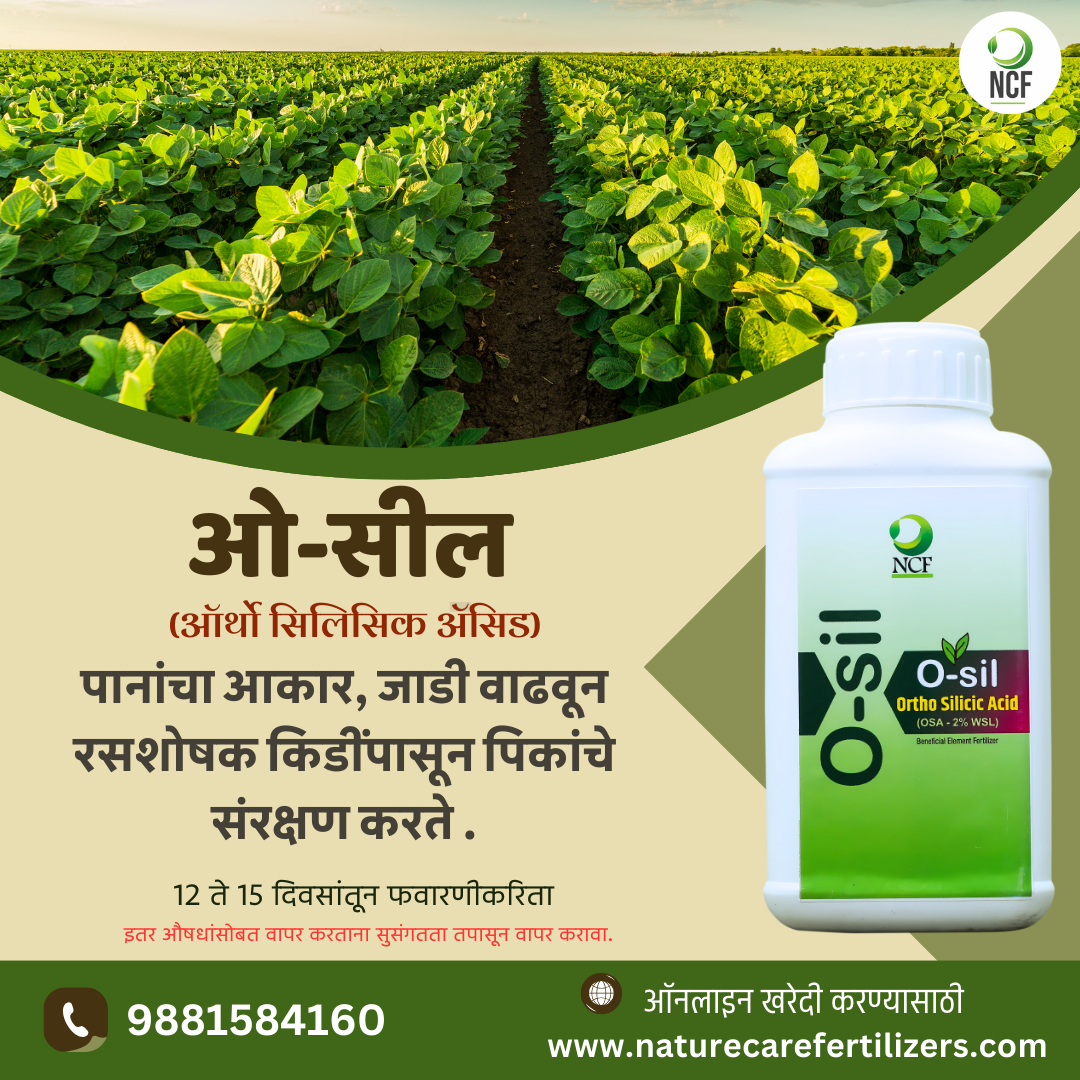 Nature Care Fertilizers organic ortho silicic acid fertilizer bottle with healthy green crop field in background