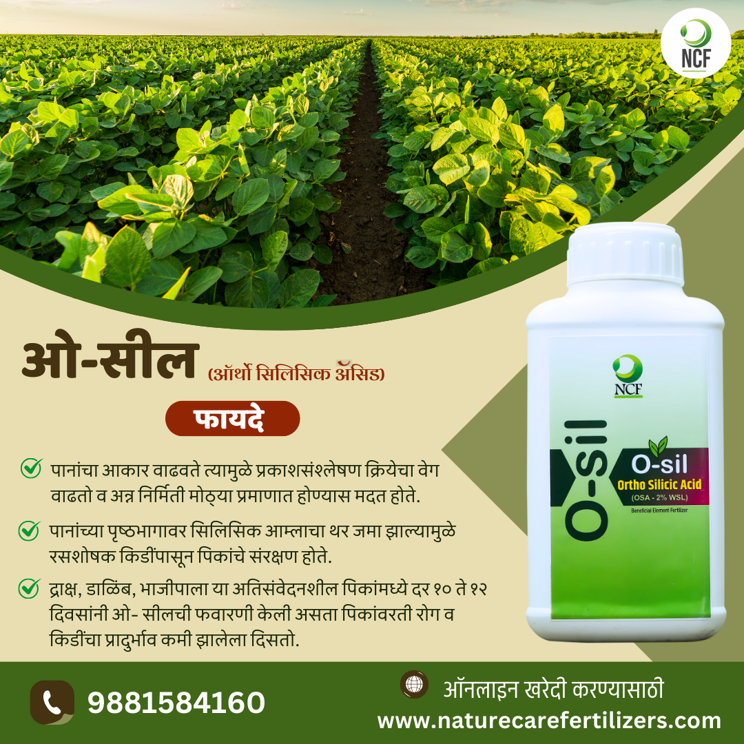 Nature Care Fertilizers o-sil organic ortho silicic acid fertilizer bottle with green crop field background