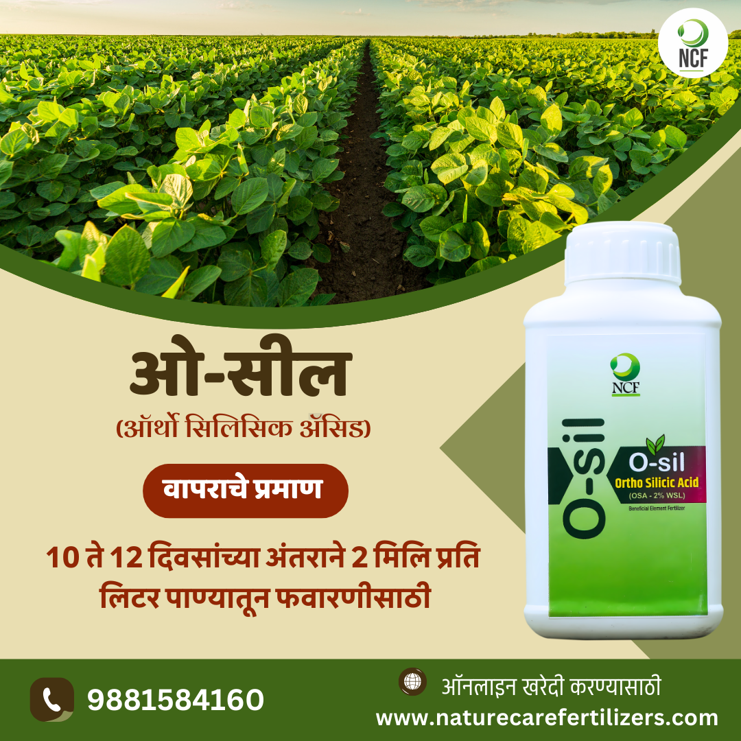 Nature Care Fertilizers organic ortho silicic acid fertilizer bottle with healthy green crop field background
