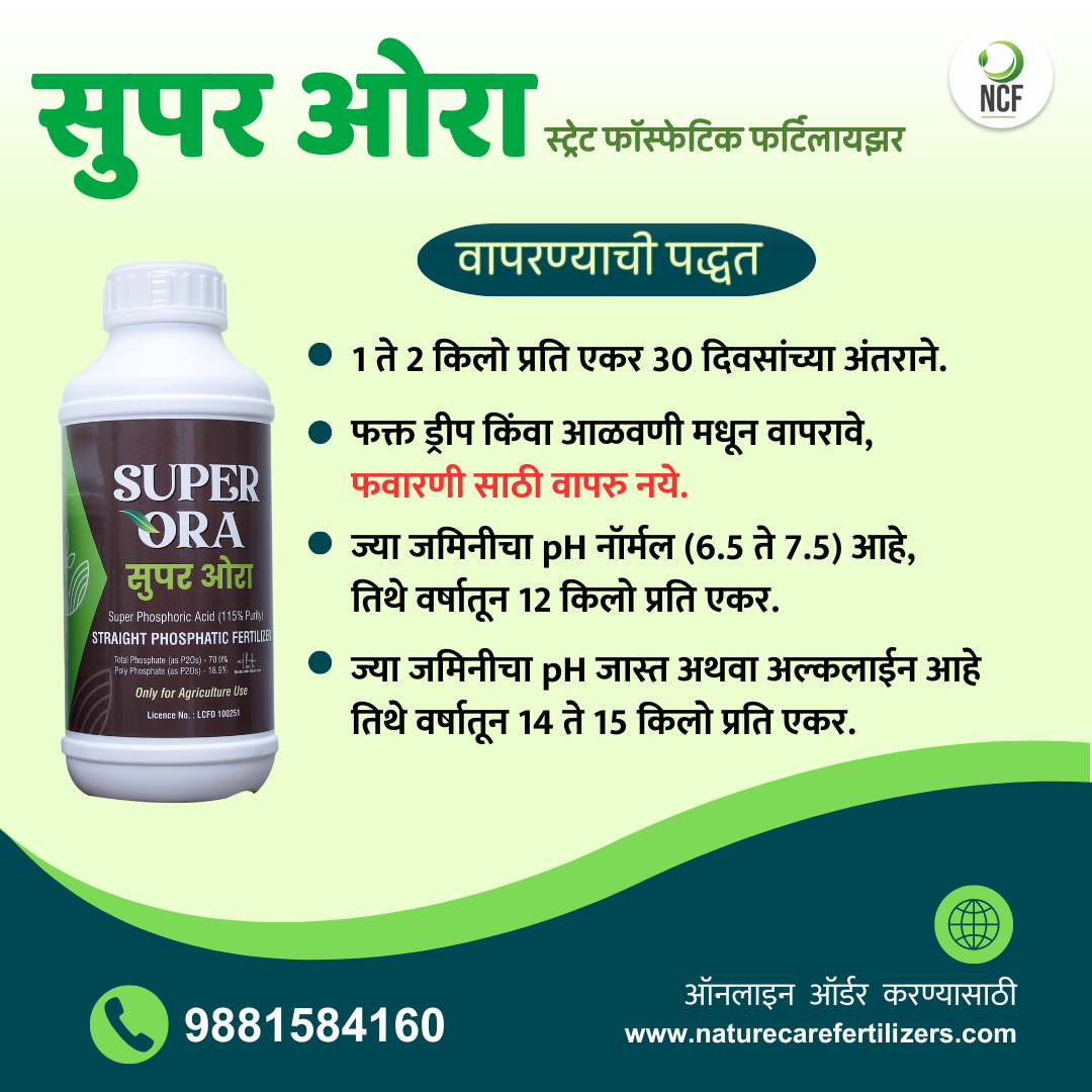 Nature Care Fertilizers Super Phosphoric Acid Fertilizer bottle with usage instructions in Marathi