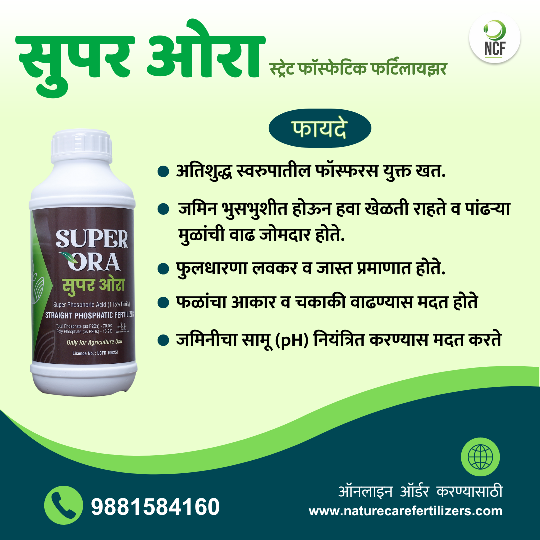 Nature Care Fertilizers Super Phosphoric Acid Fertilizer bottle with product benefits in Marathi text