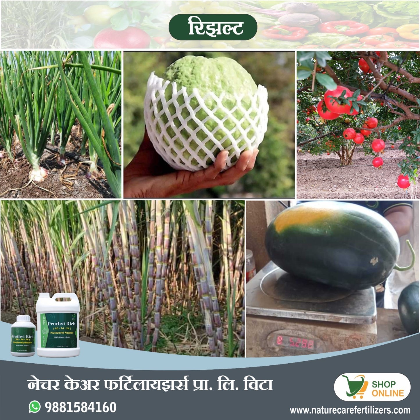 Healthy crops and fruits showcasing growth benefits of potassium polyphosphate fertilizer by Nature Care Fertilizers