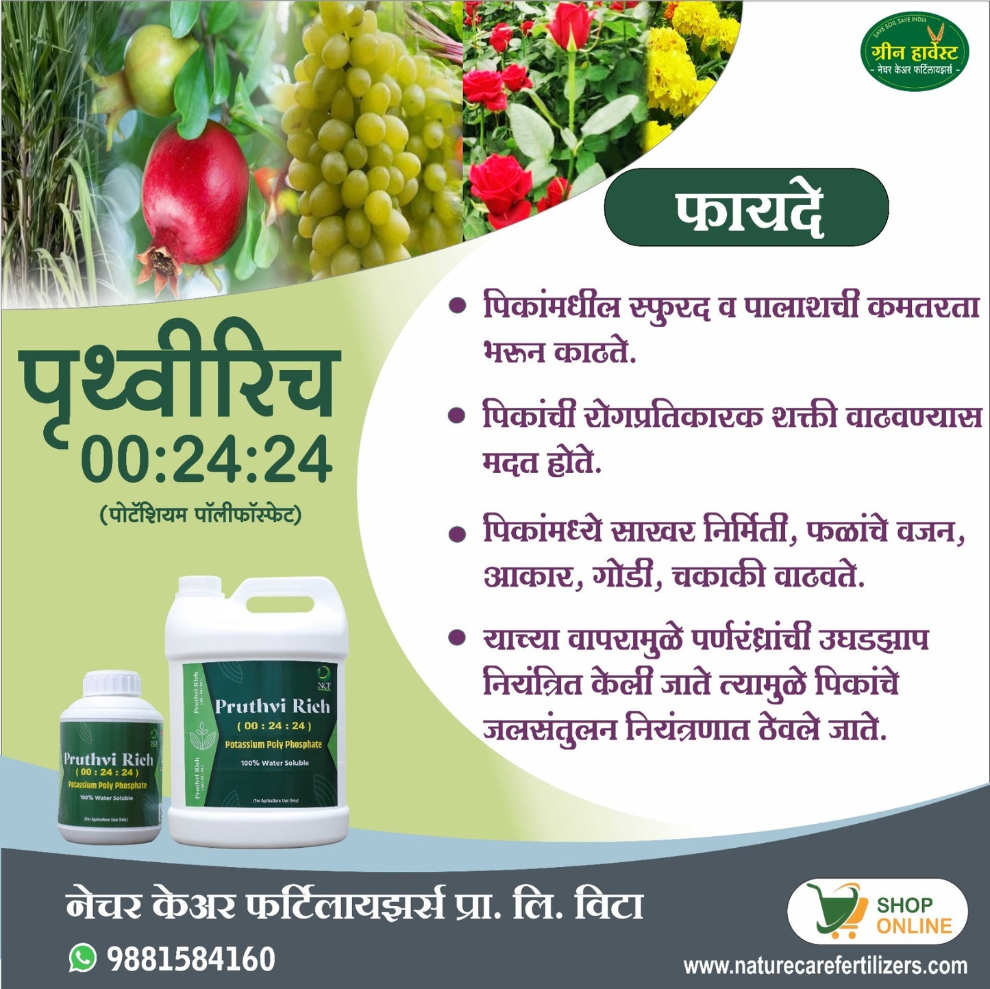 Nature Care Fertilizers potassium polyphosphate fertilizer Pruthvi Rich 00 24 24 liquid bottles for plant growth