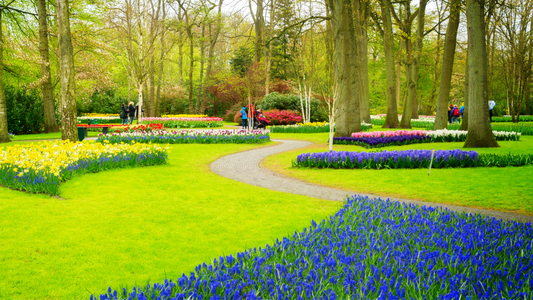 Spring Gardening Checklist: Preparing Your Garden for Growth