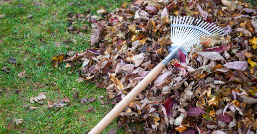Fall Gardening Guide: What to Plant and How to Maintain Your Garden