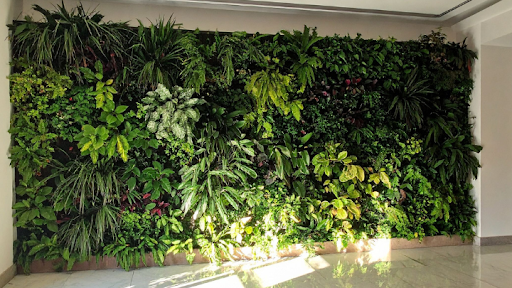 A Beginner’s Guide to Indoor Gardening
