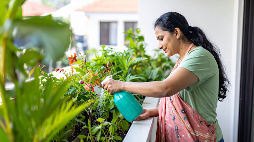 How to Start an Organic Garden at Home (Beginner-Friendly Guide)