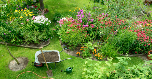 Summer Gardening Tips: Keeping Your Plants Healthy in the Heat