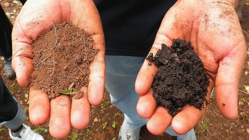 Hands holding two types of soil comparing texture for the best soil for organic gardening