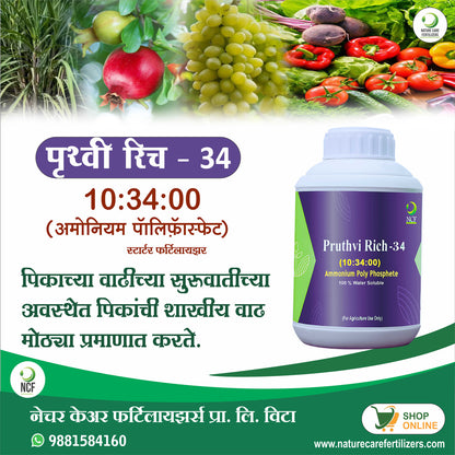 पृथ्वी रिच - ३४ (अमोनियम  पॉली फॉस्फेट)