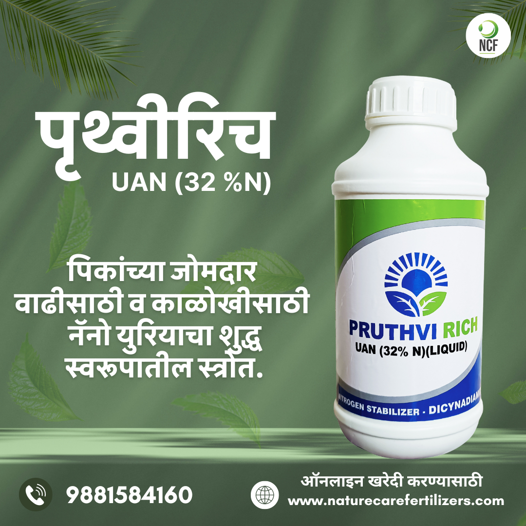 Pruthvi Rich UAN | 5KG