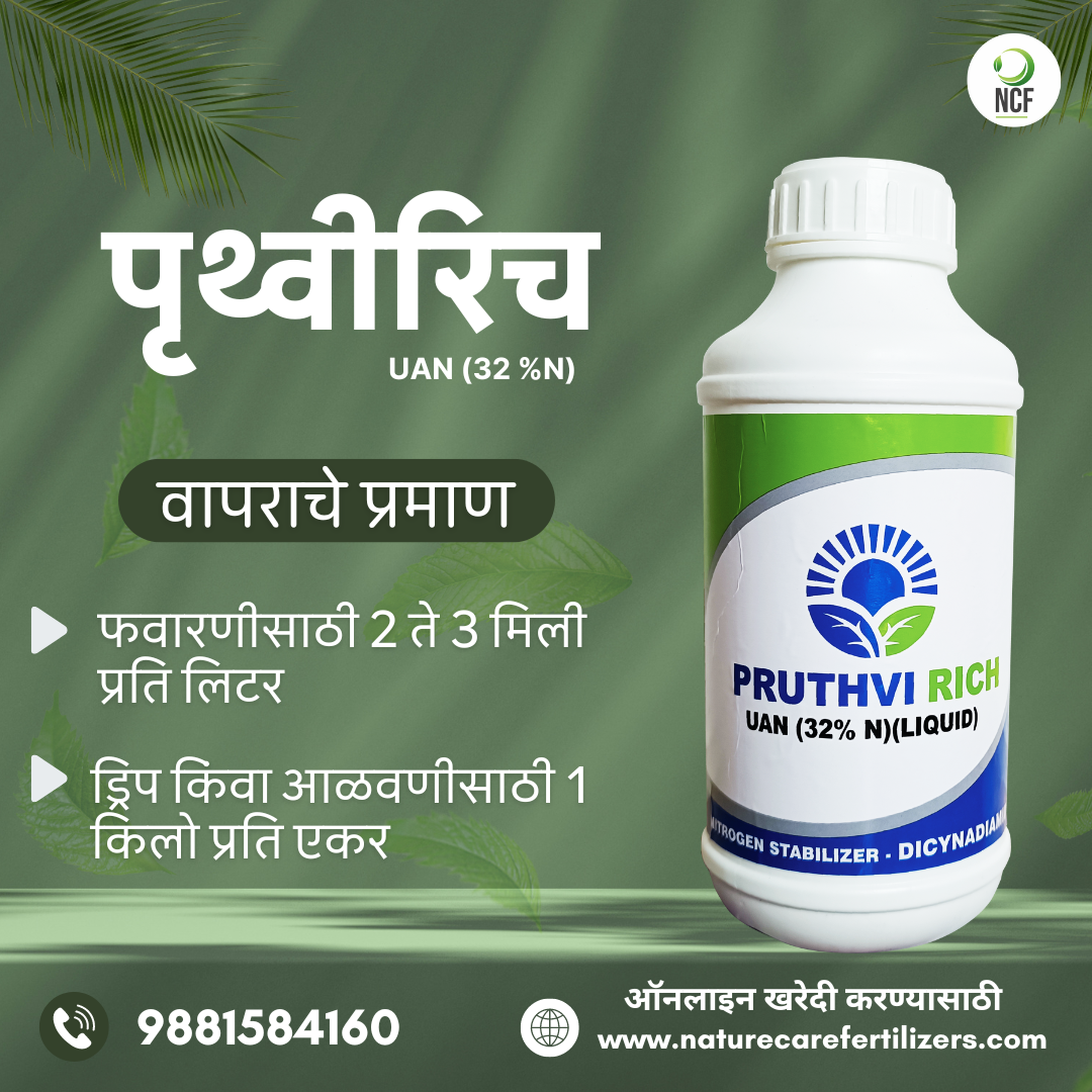 Pruthvi Rich UAN | 5KG