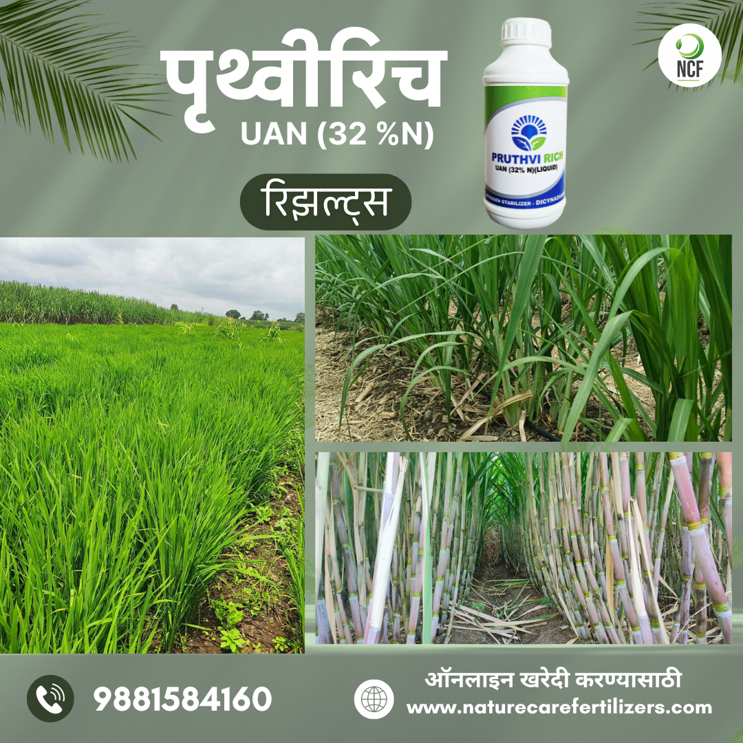 Pruthvi Rich UAN -32%| पृथ्वी रिच UAN ३२%