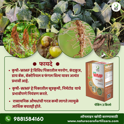 Krishi WMF - मररोग व कंदकुज यांच्या नियंत्रणासाठी एक फायदेशीर जैविक उत्पादन