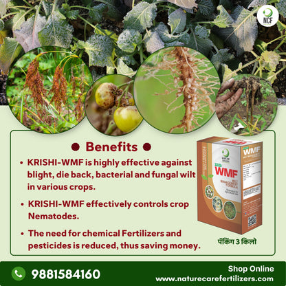 Krishi WMF - मररोग व कंदकुज यांच्या नियंत्रणासाठी एक फायदेशीर जैविक उत्पादन