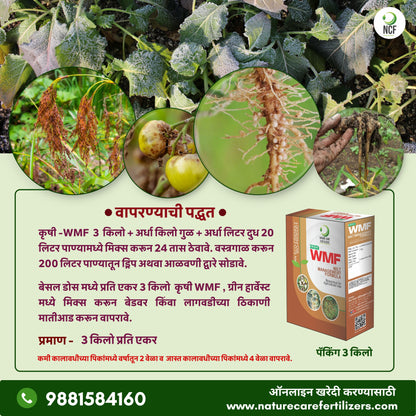 Krishi WMF - मररोग व कंदकुज यांच्या नियंत्रणासाठी एक फायदेशीर जैविक उत्पादन