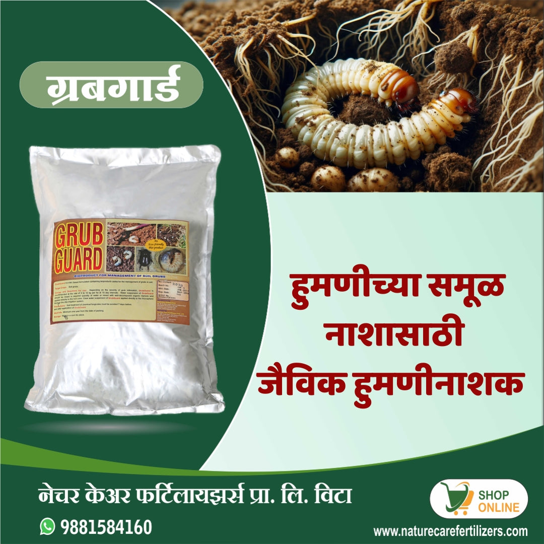 Nature Care Fertilizers organic grub control powder with image of grub larvae in soil for effective pest management