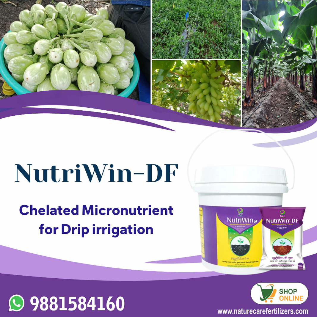 Micronutrient Fertilizers for Plants | Micro Nutrients Collection ...
