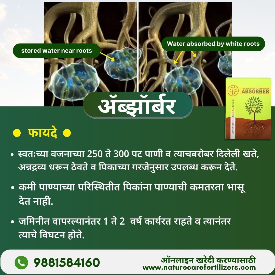 Nature Care Fertilizers organic soil absorber showing water storage near roots and absorption by white roots for better moisture retention
