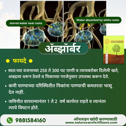 Nature Care Fertilizers organic soil absorber showing water storage near roots and absorption by white roots for better moisture retention