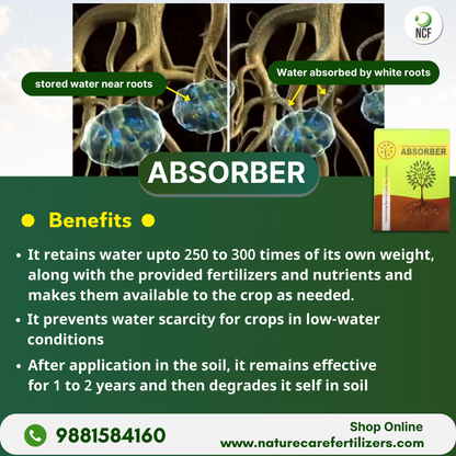 Nature Care Fertilizers organic soil absorber showing water retention and absorption by white roots