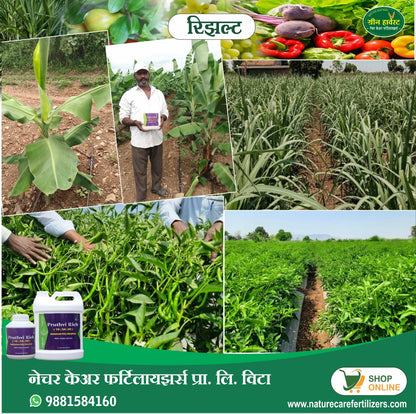 Ammonium polyphosphate fertilizer 10-34-0 by Nature Care Fertilizers showing healthy crops and product containers