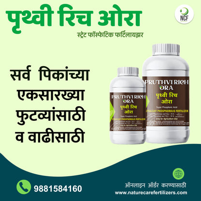 Two bottles of Pruthvi Rich Ora phosphorus supplement by Nature Care Fertilizers with product labels in Hindi