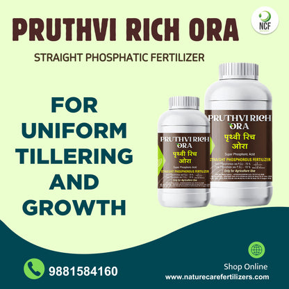 Pruthvi Rich Ora phosphorus supplement bottles by Nature Care Fertilizers for uniform tillering and growth