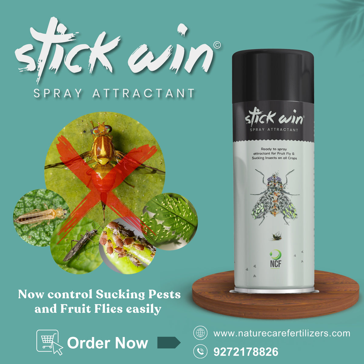Stick Win Spray Attractant Fruit Fly and Insect Attractant Spray ...